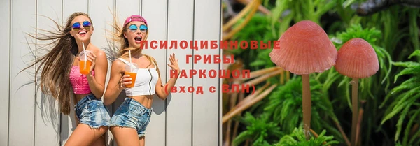 бутират Инта