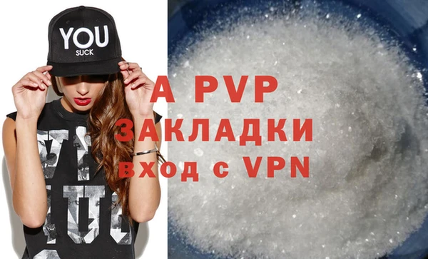 ECSTASY Каменногорск