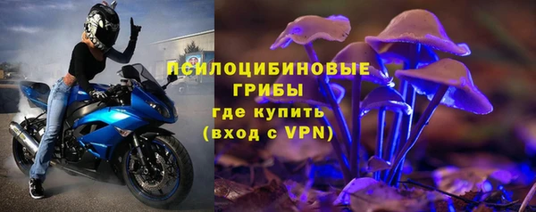 ECSTASY Каменногорск
