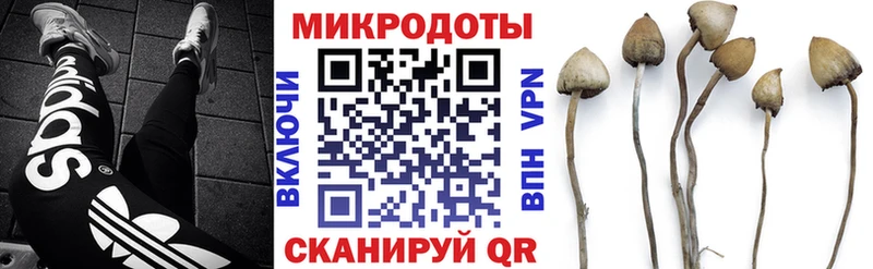 Псилоцибиновые грибы Psilocybe  ссылка на мегу зеркало  даркнет какой сайт  Малгобек 